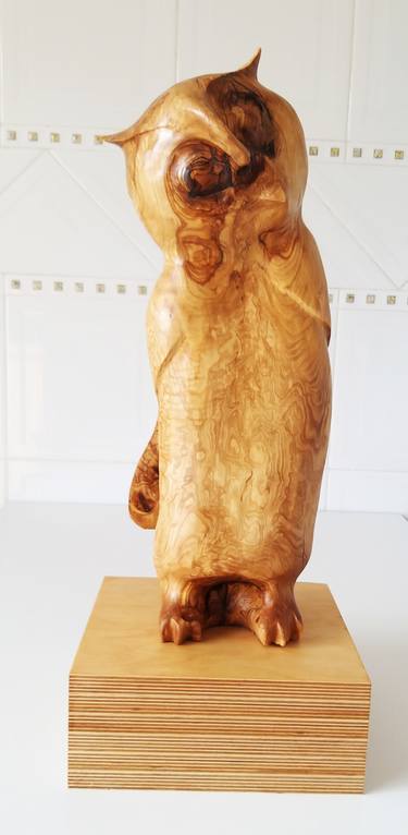 Búho Camuflado