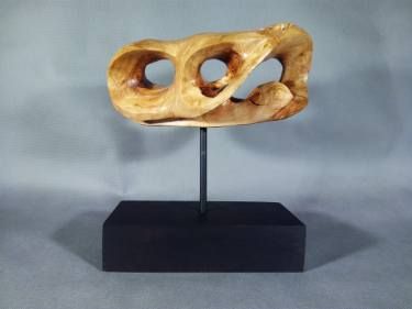 STELLARATOR